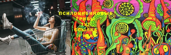 марихуана Заводоуковск