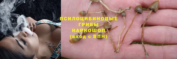 марихуана Заводоуковск