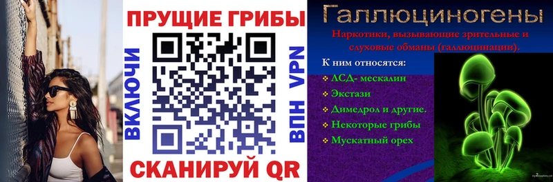 Галлюциногенные грибы Cubensis  Купить  Грязовец 