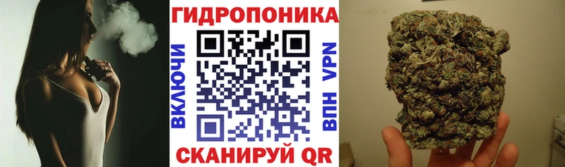 Марихуана OG Kush  Купить закладки  Грязовец 